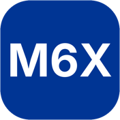 M6X