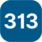 313