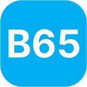 B65