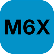 M6X