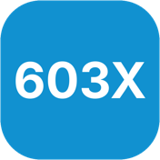 603X