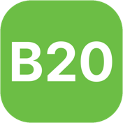 B20