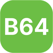 B64