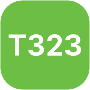 T323