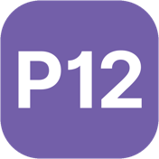P12