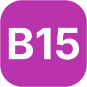 B15