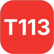 T113