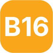 B16