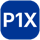 P1X