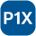 P1X