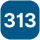 313