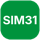 SIM31